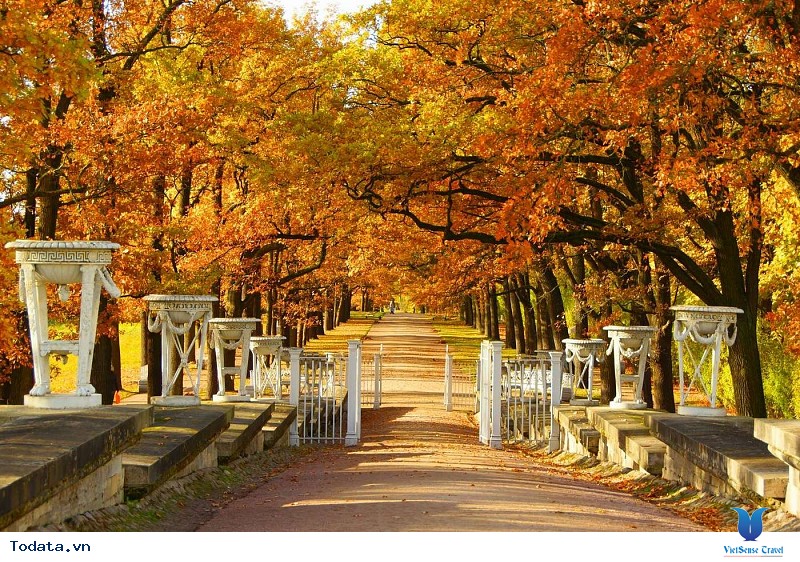 Những Thời Điểm Tuyệt Vời Để Đến Với Du Lịch Nga - Ảnh 3