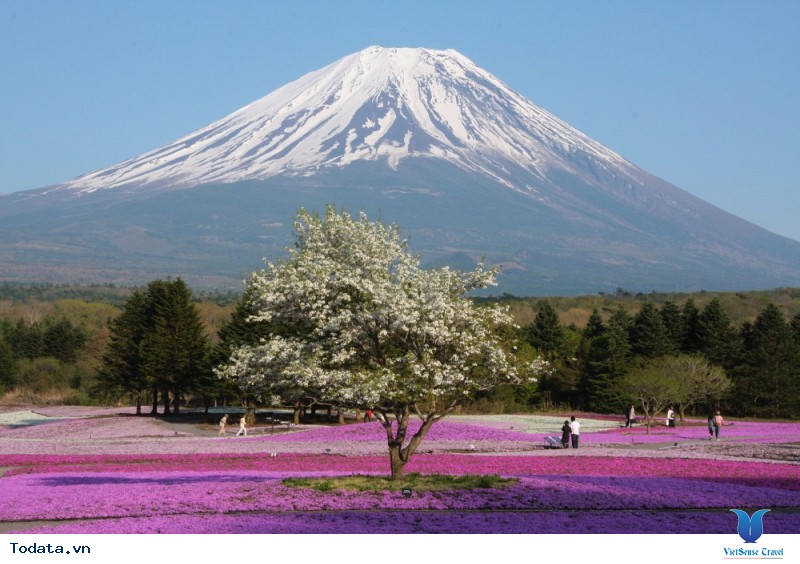 Núi Phú Sĩ - Những Điều Bạn Chưa Biết - Ảnh 1 Núi Phú Sĩ - Những Điều Bạn Chưa Biết - Ảnh 1