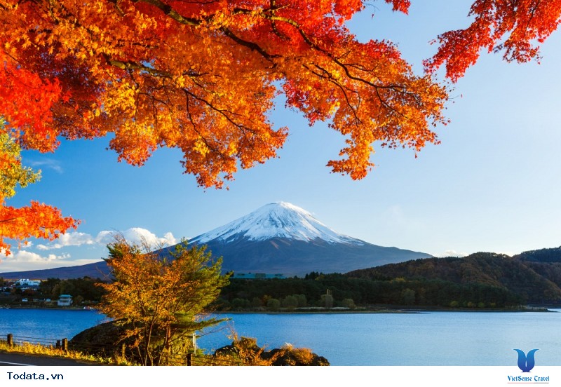 Núi Phú Sĩ - Những Điều Bạn Chưa Biết - Ảnh 3 Núi Phú Sĩ - Những Điều Bạn Chưa Biết - Ảnh 3