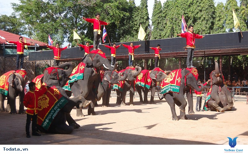 Pattaya Có Gì Hấp Dẫn Khách Du Lịch - Ảnh 6 Pattaya Có Gì Hấp Dẫn Khách Du Lịch - Ảnh 6