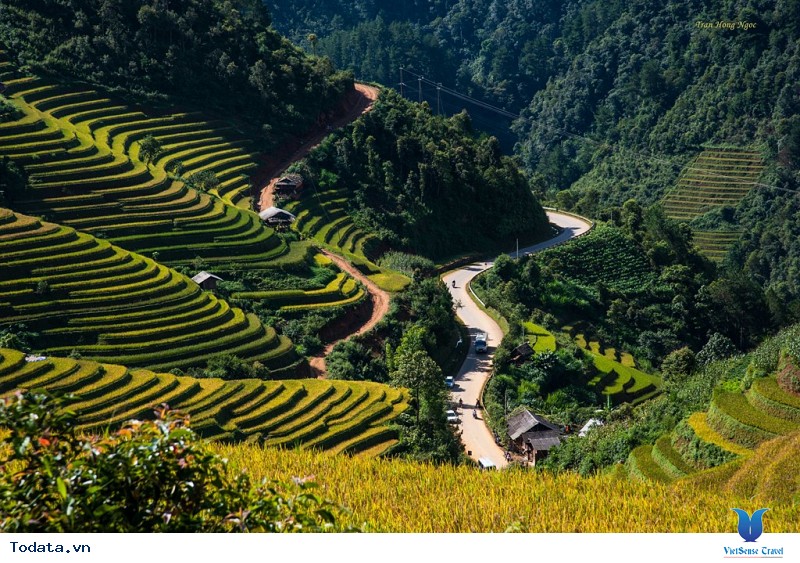 Sắc Thu Chảy Vàng Ruộng Bậc Thang Mù Cang Chải - Ảnh 4