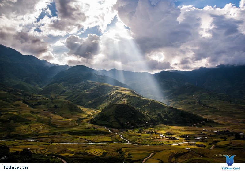 Sắc Thu Chảy Vàng Ruộng Bậc Thang Mù Cang Chải - Ảnh 5