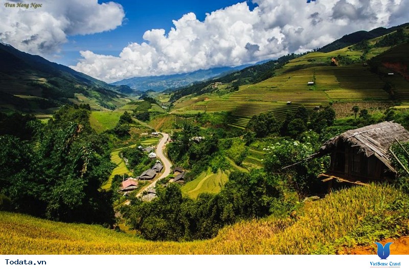 Sắc Thu Chảy Vàng Ruộng Bậc Thang Mù Cang Chải - Ảnh 10