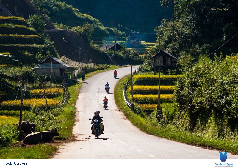 Sắc Thu Chảy Vàng Ruộng Bậc Thang Mù Cang Chải - Ảnh 2