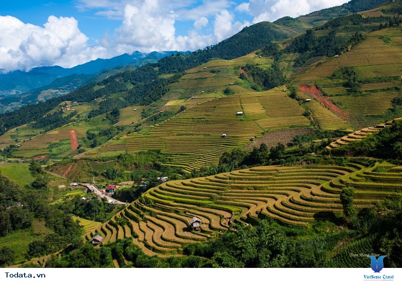 Sắc Thu Chảy Vàng Ruộng Bậc Thang Mù Cang Chải - Ảnh 3