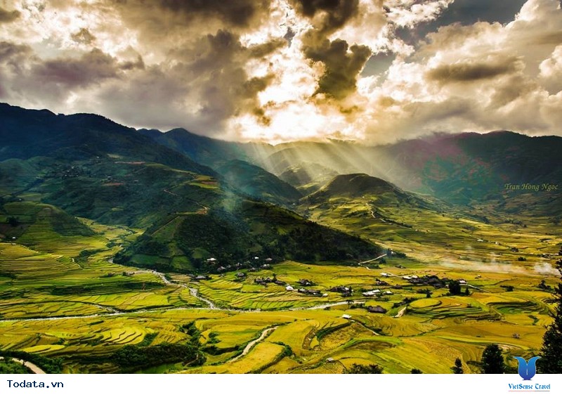 Sắc Thu Chảy Vàng Ruộng Bậc Thang Mù Cang Chải - Ảnh 9