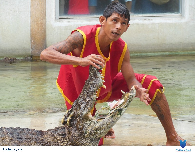 Say lòng khám phá Thái Lan “đêm không ngủ” với Vietsense Travel - Ảnh 1