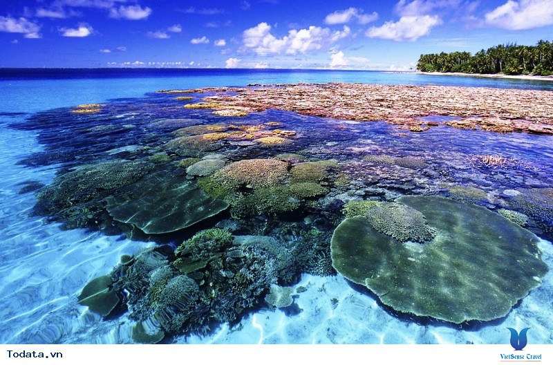 Say lòng khám phá Thái Lan “đêm không ngủ” với Vietsense Travel - Ảnh 3