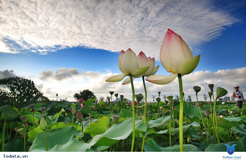 Tại Sao Bạn Nên Chọn Hàn Quốc Là Điểm Đến Cho Mùa Hè Này - Ảnh 4 Tại Sao Bạn Nên Chọn Hàn Quốc Là Điểm Đến Cho Mùa Hè Này - Ảnh 4