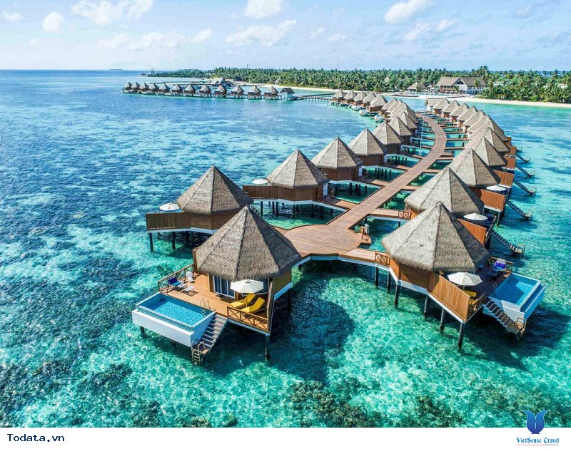 Thoải Mái Du Lịch Maldives 5 Ngày 4 Đêm Chỉ 31,9 Triệu Đồng Cùng Với VietSense Travel - Ảnh 1 Thoải Mái Du Lịch Maldives 5 Ngày 4 Đêm Chỉ 31,9 Triệu Đồng Cùng Với VietSense Travel - Ảnh 1