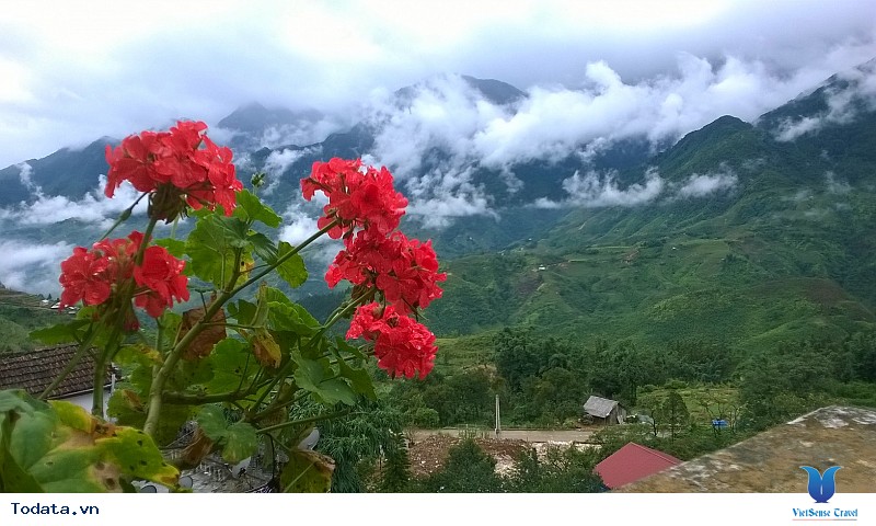 Thung Lũng Mường Hoa Sapa - Ảnh 3