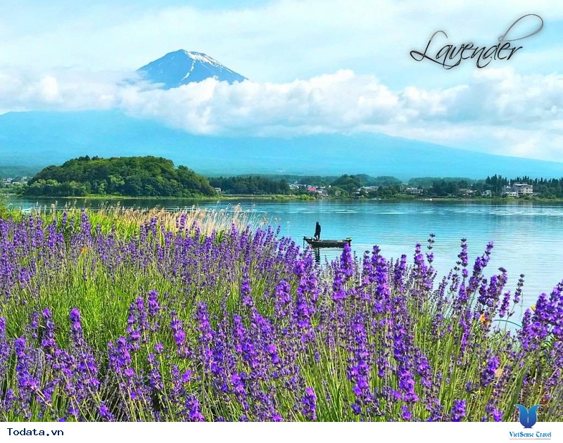 Tour Nhật Bản Mùa Hè Của VietSense Travel Có Gì Hot - Ảnh 1