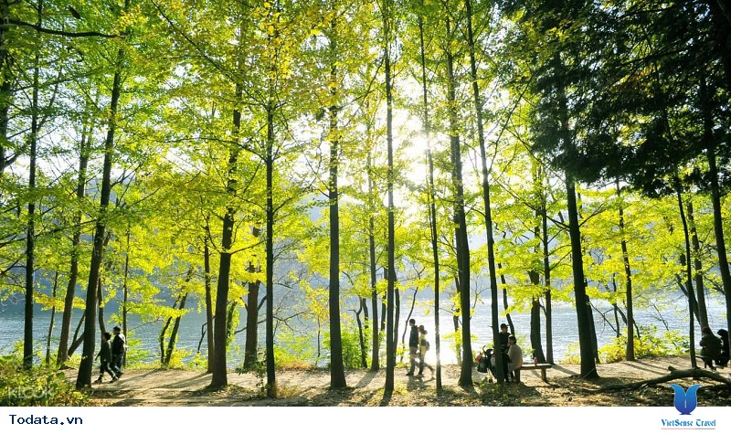 Khám Phá Đảo Nami Hữu Ích Nhất - Ảnh 2 Khám Phá Đảo Nami Hữu Ích Nhất - Ảnh 2