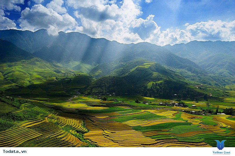 Mù Cang Chải Mùa Lúa Chín