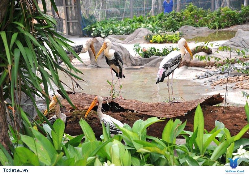 Đến Phú Quốc thăm vườn thú bán hoang dã đầu tiên tại Việt Nam - Ảnh 3 Đến Phú Quốc thăm vườn thú bán hoang dã đầu tiên tại Việt Nam - Ảnh 3