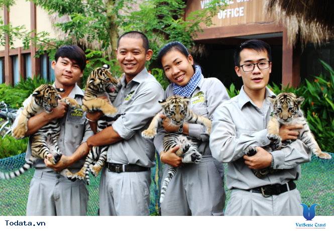 Đến Phú Quốc thăm vườn thú bán hoang dã đầu tiên tại Việt Nam - Ảnh 4 Đến Phú Quốc thăm vườn thú bán hoang dã đầu tiên tại Việt Nam - Ảnh 4