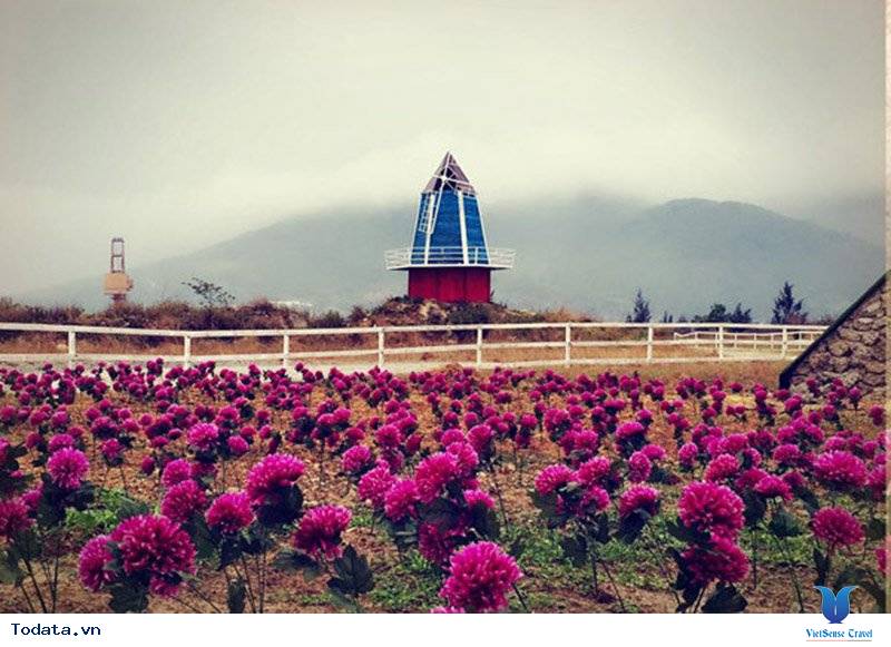 Đi Đà Nẵng kiếm điểm check-in đẹp - Ảnh 1 Đi Đà Nẵng kiếm điểm check-in đẹp - Ảnh 1