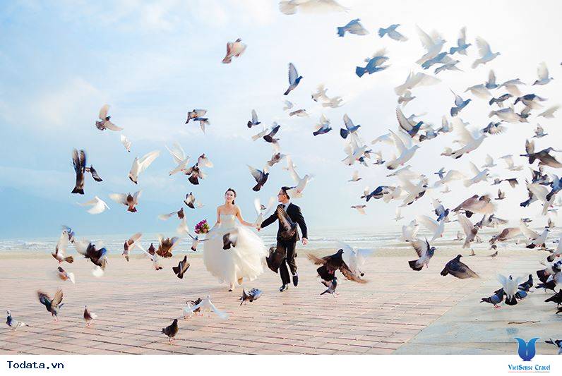 Đi Đà Nẵng kiếm điểm check-in đẹp - Ảnh 5 Đi Đà Nẵng kiếm điểm check-in đẹp - Ảnh 5