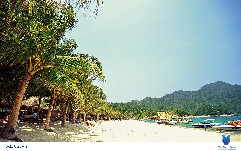 Du lịch Đà Nẵng mùa thu tiết kiệm cùng Vietsense Travel - Ảnh 4