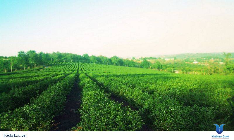 Du lịch Đắk Nông tìm về miền sơn cước - Ảnh 10