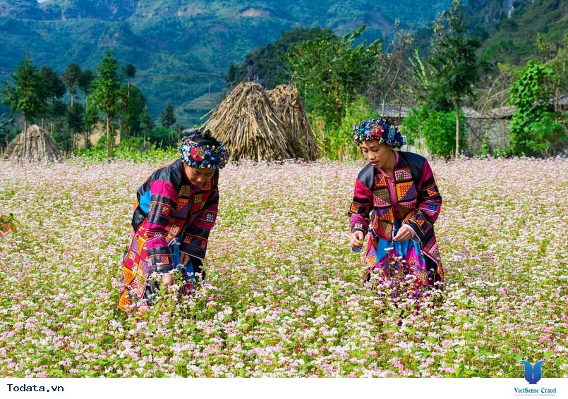 Du lịch Hà Giang chinh phục những điểm vàng - Ảnh 1