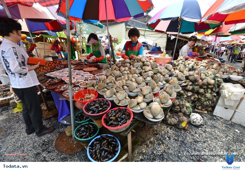 Du lịch Hàn Quốc ghé thăm chợ hải sản tại Busan - Ảnh 2 Du lịch Hàn Quốc ghé thăm chợ hải sản tại Busan - Ảnh 2