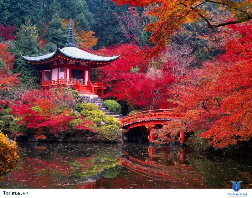 Hình Ảnh Kyoto Nhật Bản - Ảnh 1