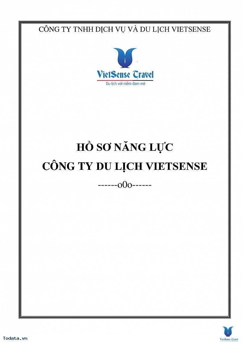 Hồ sơ Năng lực Công ty - Ảnh 1