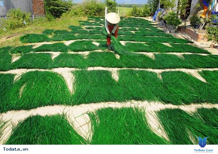 Khám phá Làng chiếu Cẩm Nê - Ảnh 2 Khám phá Làng chiếu Cẩm Nê - Ảnh 2