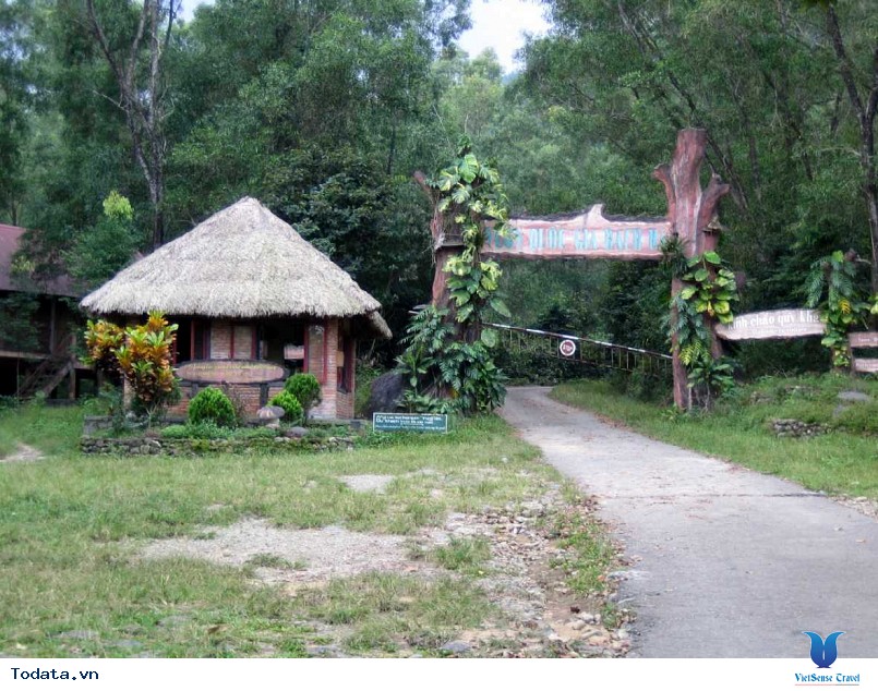 Khám phá vẻ đẹp Vườn quốc gia Bạch Mã - Ảnh 2 Khám phá vẻ đẹp Vườn quốc gia Bạch Mã - Ảnh 2