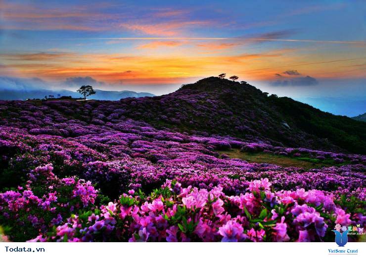 Mộng mơ khúc tình ca bốn mùa trên đảo Nami - Ảnh 7