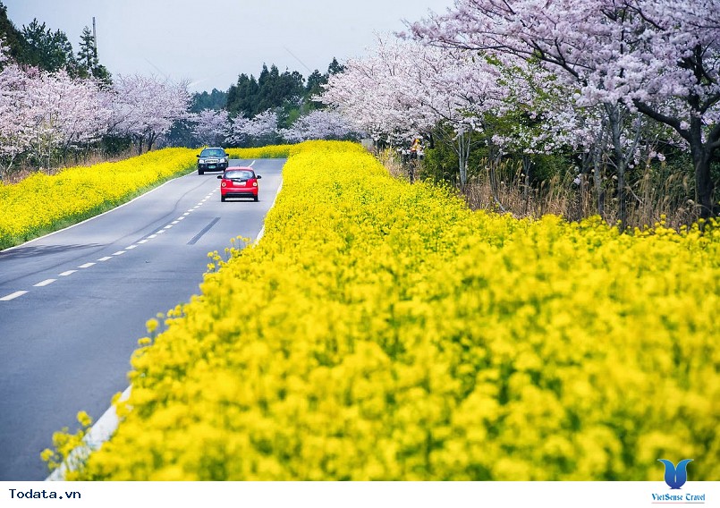 Những điểm du lịch hấp dẫn nhất của xứ sở Kim Chi - Ảnh 1