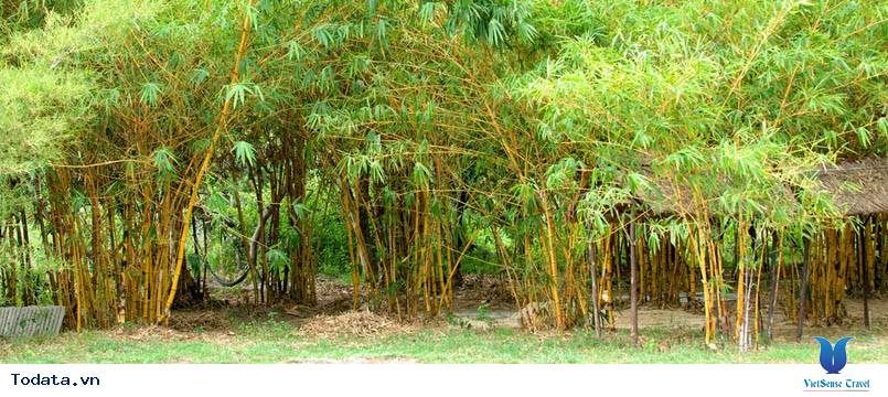 Say mê những ngôi làng cổ kính ẩn mình trong lòng Đà Nẵng hiện đại - Ảnh 2 Say mê những ngôi làng cổ kính ẩn mình trong lòng Đà Nẵng hiện đại - Ảnh 2