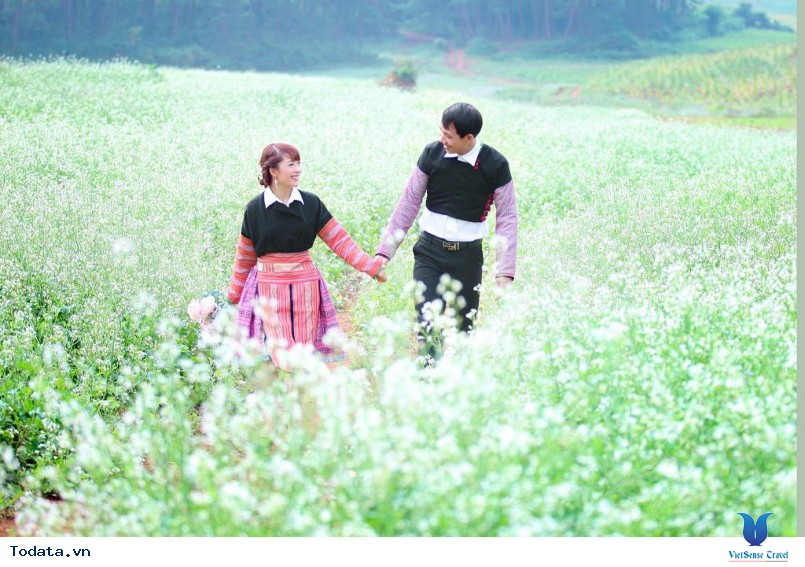 Thiên đường Mộc Châu tinh khôi trong mùa hoa cải trắng - Ảnh 2