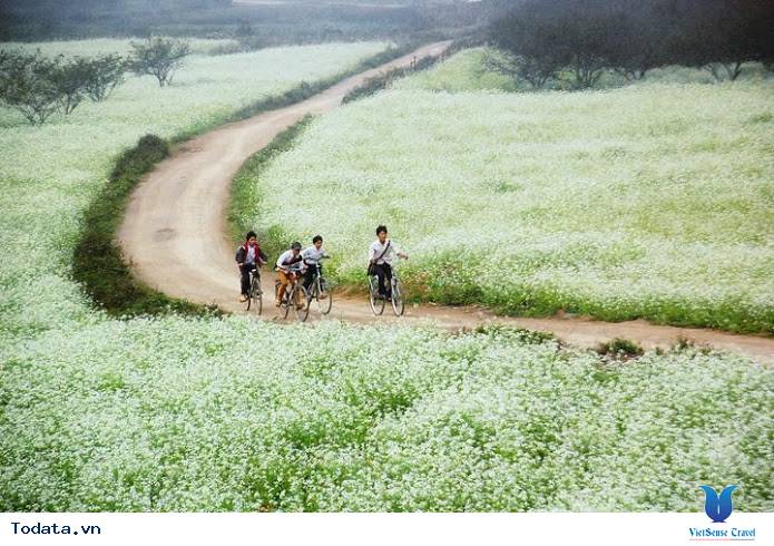 Thông tin hữu ích khi đi Du Lịch Tây Bắc - Ảnh 4