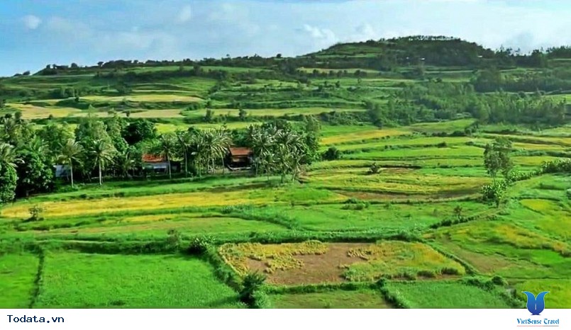 Trải lòng khám phá trọn xứ Hoa Vàng Cỏ Xanh thơ mộng - Ảnh 1 Trải lòng khám phá trọn xứ Hoa Vàng Cỏ Xanh thơ mộng - Ảnh 1