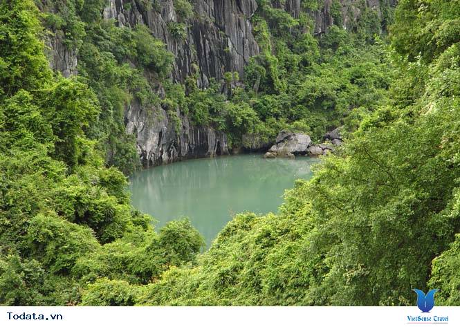 Vườn Quốc gia Cát Bà - Ảnh 2