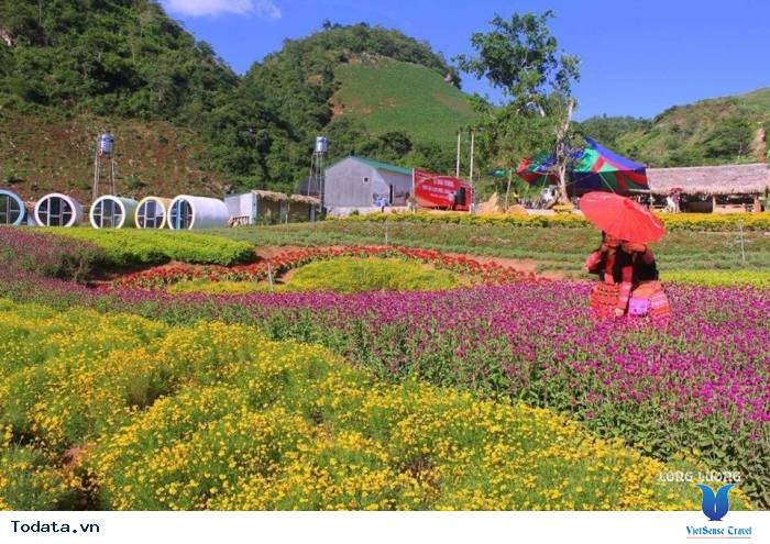 Happy Land Mộc Châu Thiên Đường Trên Cao Nguyên - Ảnh 2 Happy Land Mộc Châu Thiên Đường Trên Cao Nguyên - Ảnh 2
