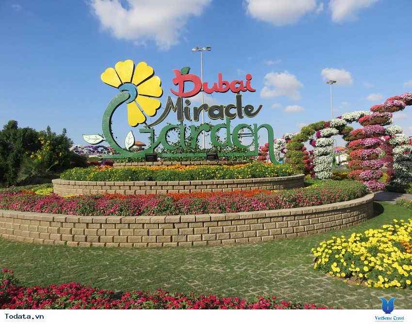 45 Triệu Đóa Hoa Giữa Sa Mạc Dubai Hình ảnh 5