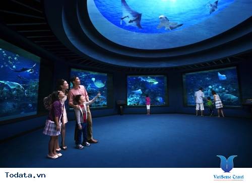 Adventure Cove Singapore với những ô cửa kính lớn nhất thế giới Hình ảnh 3