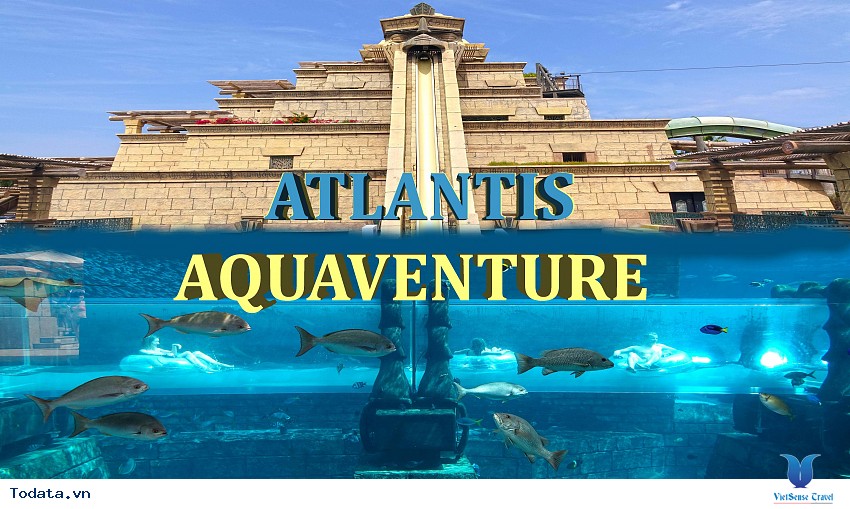 Aquaventure Park- Một Trong Mười Công Viên Nước Ấn Tượng Nhất Thế Giới Hình ảnh 5