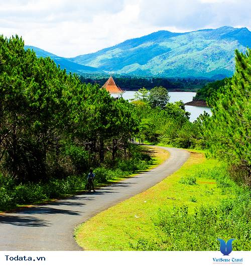 Biển Hồ Tnưng xanh ngắt ở Pleiku Hình ảnh 3