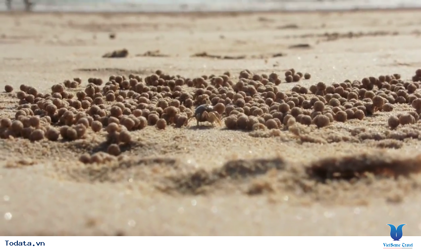 Bình Minh Trên Bãi Biển Railay [Phần 2] Hình ảnh 18