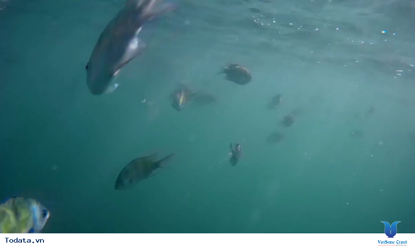 Bình Minh Trên Bãi Biển Railay [Phần 2] Hình ảnh 27