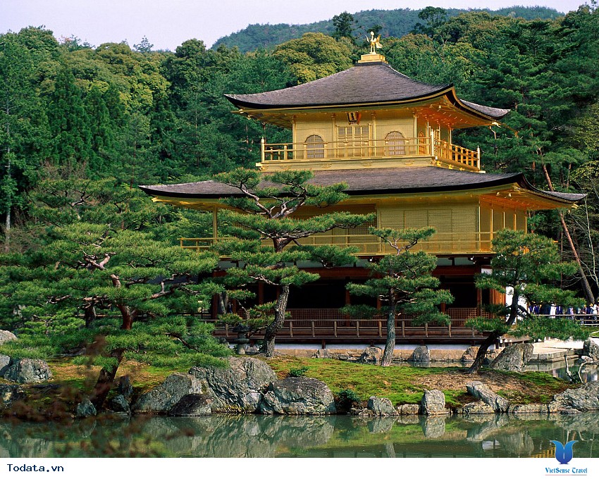 Bốn Mùa Ở Chùa Vàng Kinkakuji Hình ảnh 1