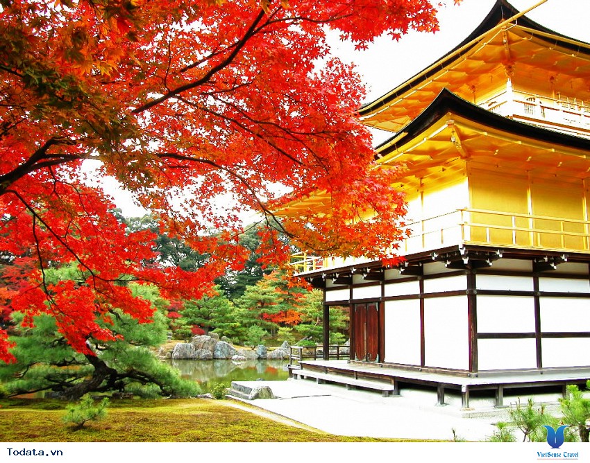 Bốn Mùa Ở Chùa Vàng Kinkakuji Hình ảnh 3