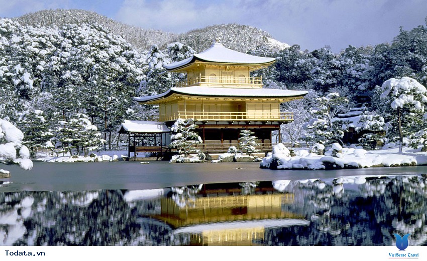 Bốn Mùa Ở Chùa Vàng Kinkakuji Hình ảnh 4