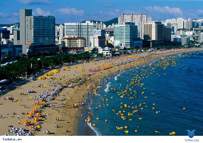 Busan, Thành Phố Cảng Đẹp Nhất Hàn Quốc. Hình ảnh 1