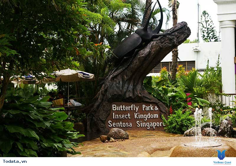 Butterfly park and Insect kingdom, vương quốc của loài bướm và côn trùng Hình ảnh 4