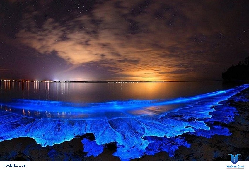 Bãi Biển Phát Sáng ảo diệu Tại Maldives có gì đẹp? Hình ảnh 1 Bãi Biển Phát Sáng ảo diệu Tại Maldives có gì đẹp? Hình ảnh 1